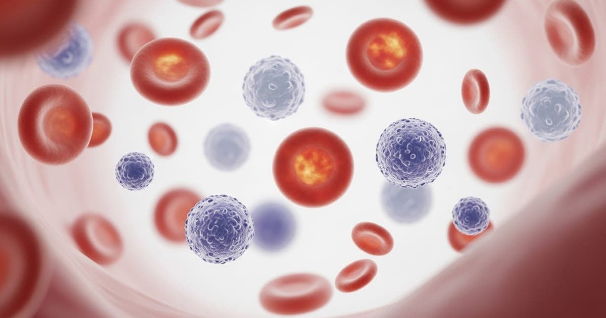 Your Guide to NRBC Blood Test: What It Means and Why It's Important