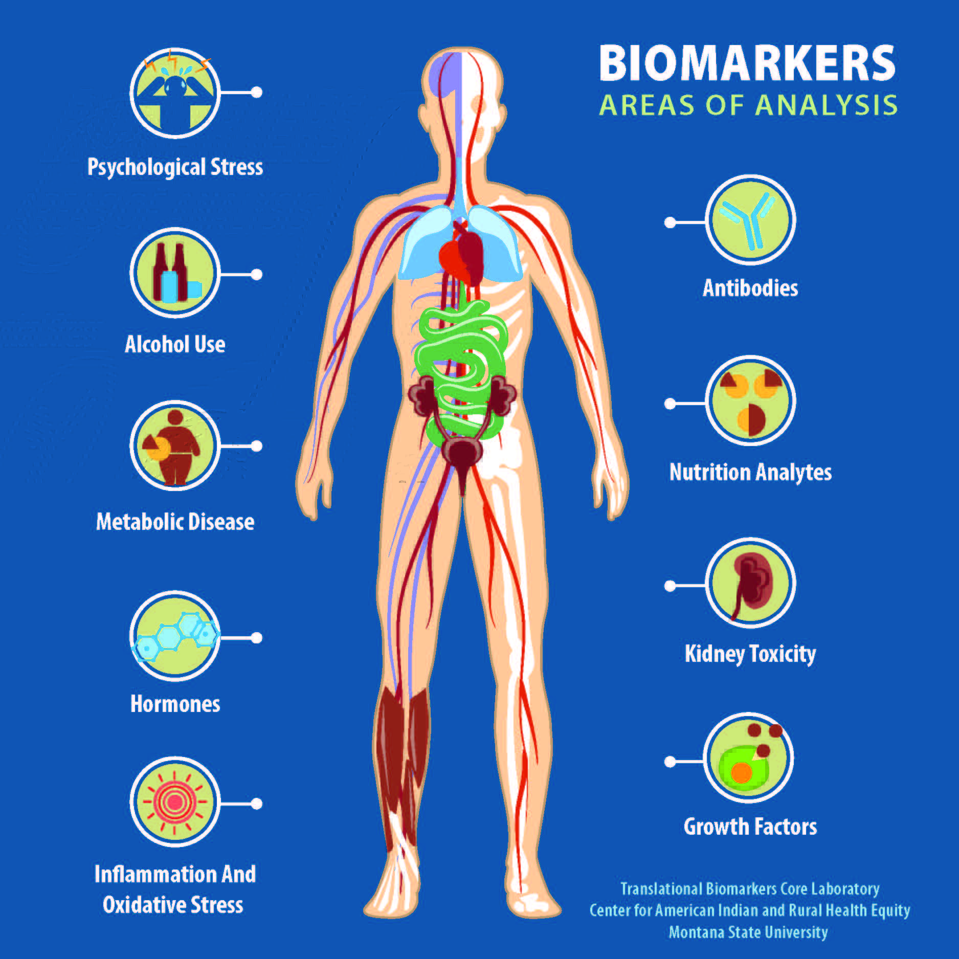 Biomarkers--